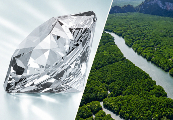 website_sust_cover
